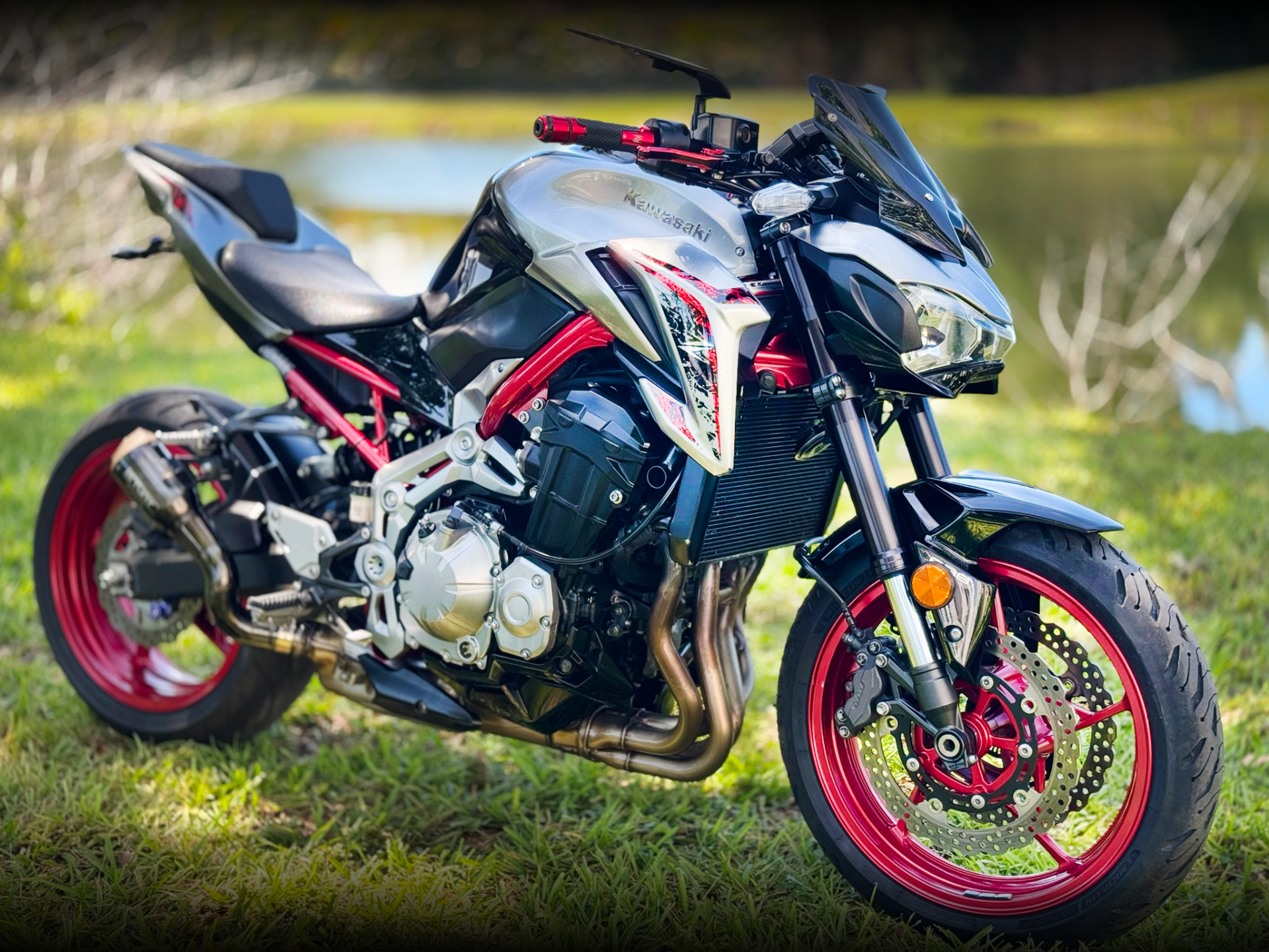 Used 2019 Kawasaki Z900 ABS Metallic Moondust Gray / Ebony