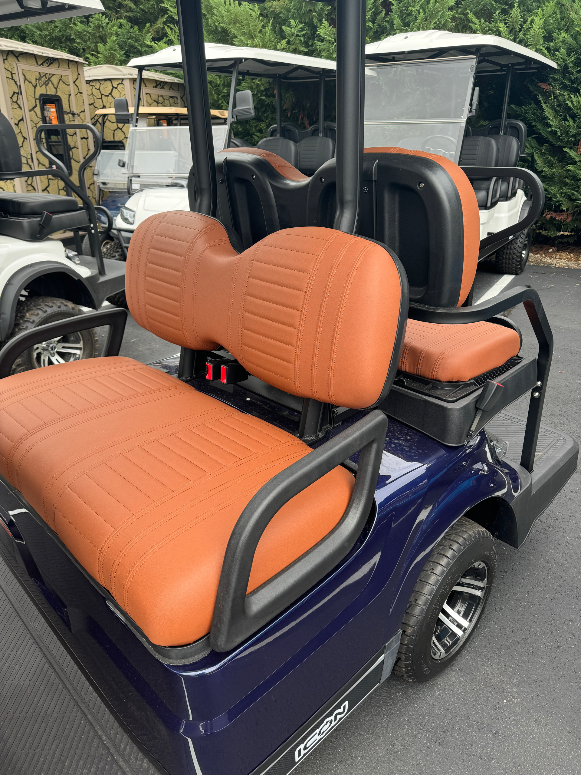 2025 Icon G60 photo 5