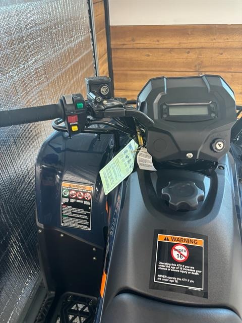 2026 Kawasaki Brute Force® 300 6