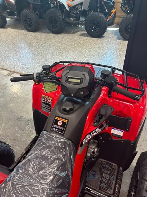 2026 Kawasaki Brute Force® 300 5