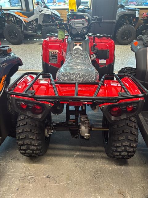 2026 Kawasaki Brute Force® 300 6