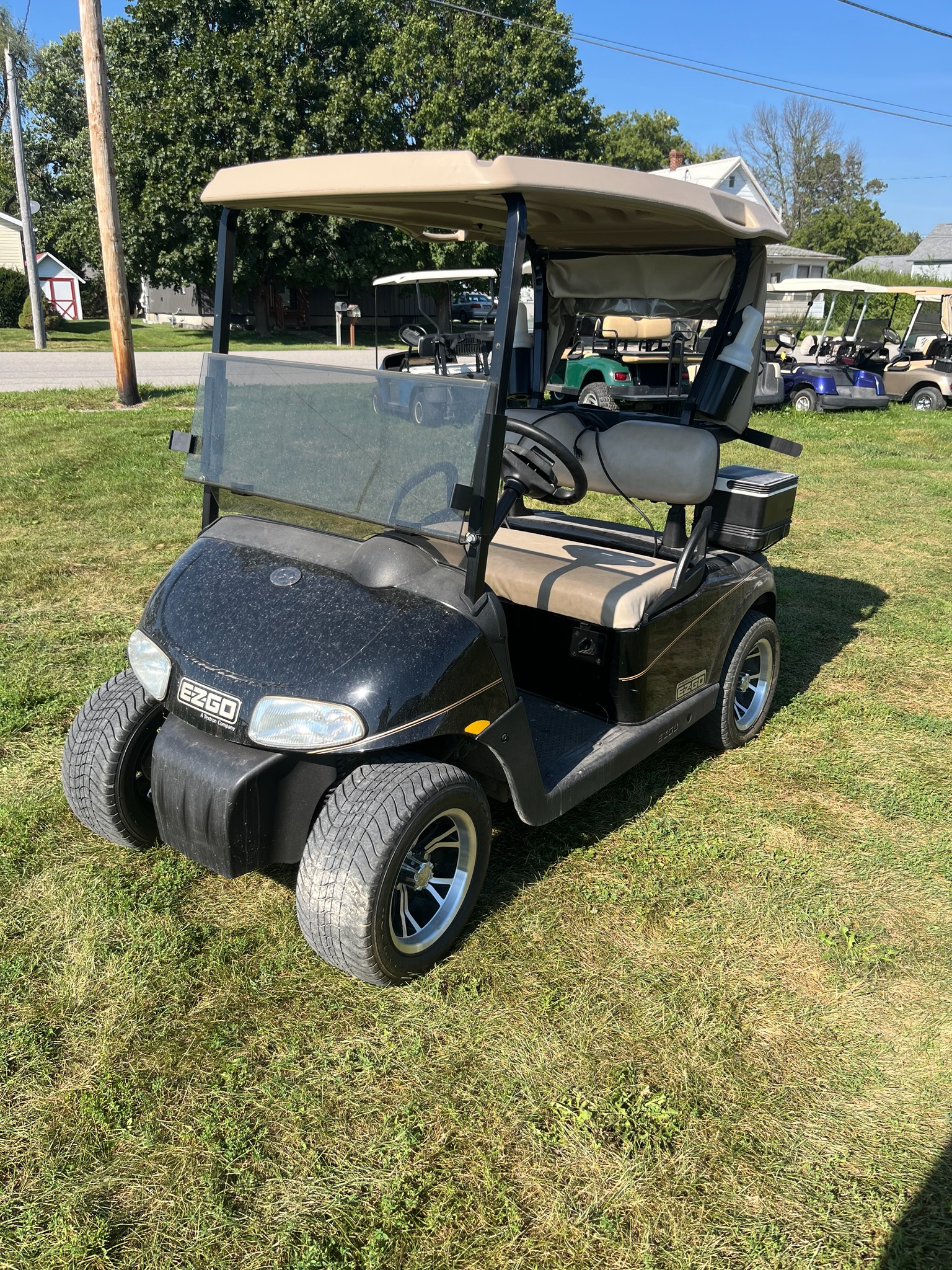 2009 EZGO Freedom