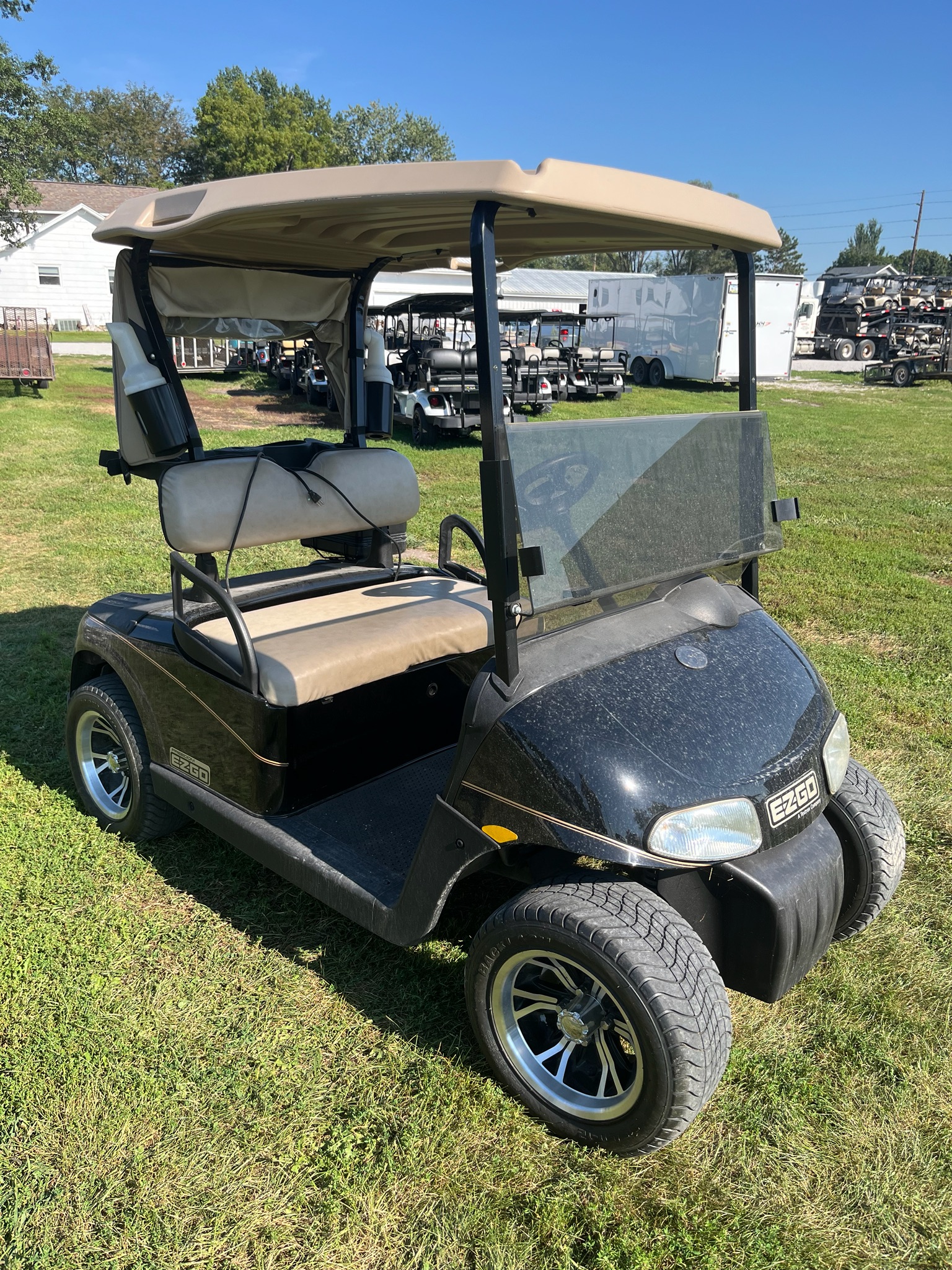 2009 EZGO Freedom photo 3