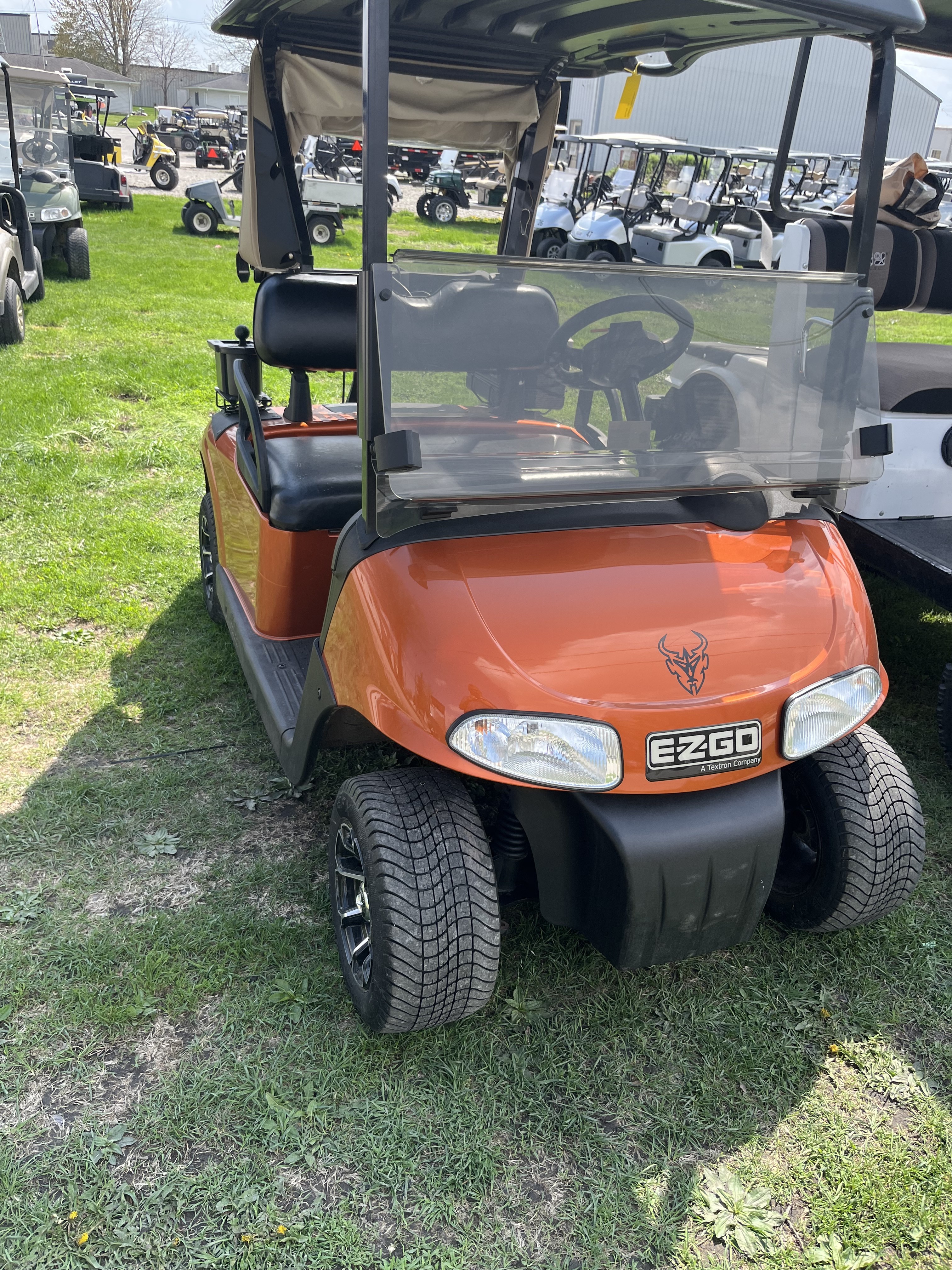 2009 EZGO Freedom photo 3