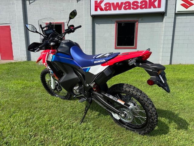 2025 Honda CRF300L Rally ABS Motorcycles Brilliant Ohio MUSTCALL