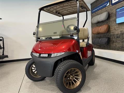 2026 E-Z-GO Freedom RXV 2.2 ELiTE in Hawarden, Iowa - Photo 5