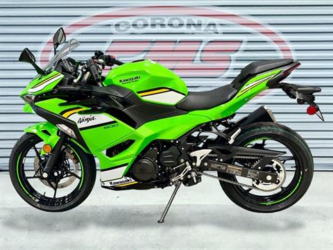 New 2025 Kawasaki Ninja 500 KRT Edition Lime Green / Ebony / Pearl