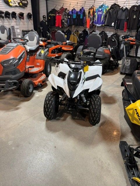New 2026 Kawasaki KFX®90 Bright White | ATVs in Boonville NY | M02653