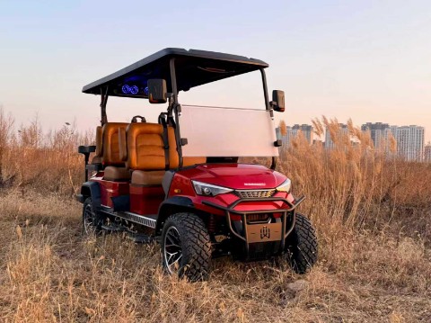 2026 DACH Vehicles Apollo 4+2 in Wesley Chapel, Florida - Photo 11