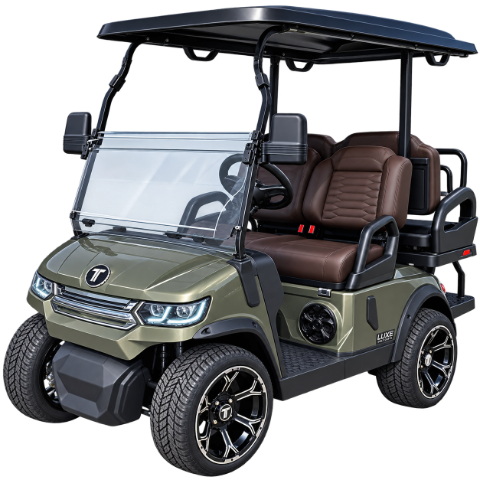 2026 Tara Electric Vehicles Summit Air 2+2 Road in Wesley Chapel, Florida