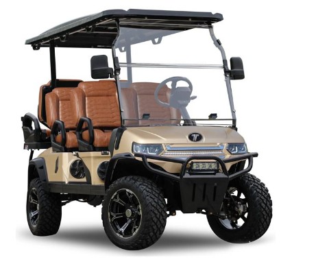 2026 Tara EV Tara Summit Plus 4+2 Roadster in Wesley Chapel, Florida - Photo 9
