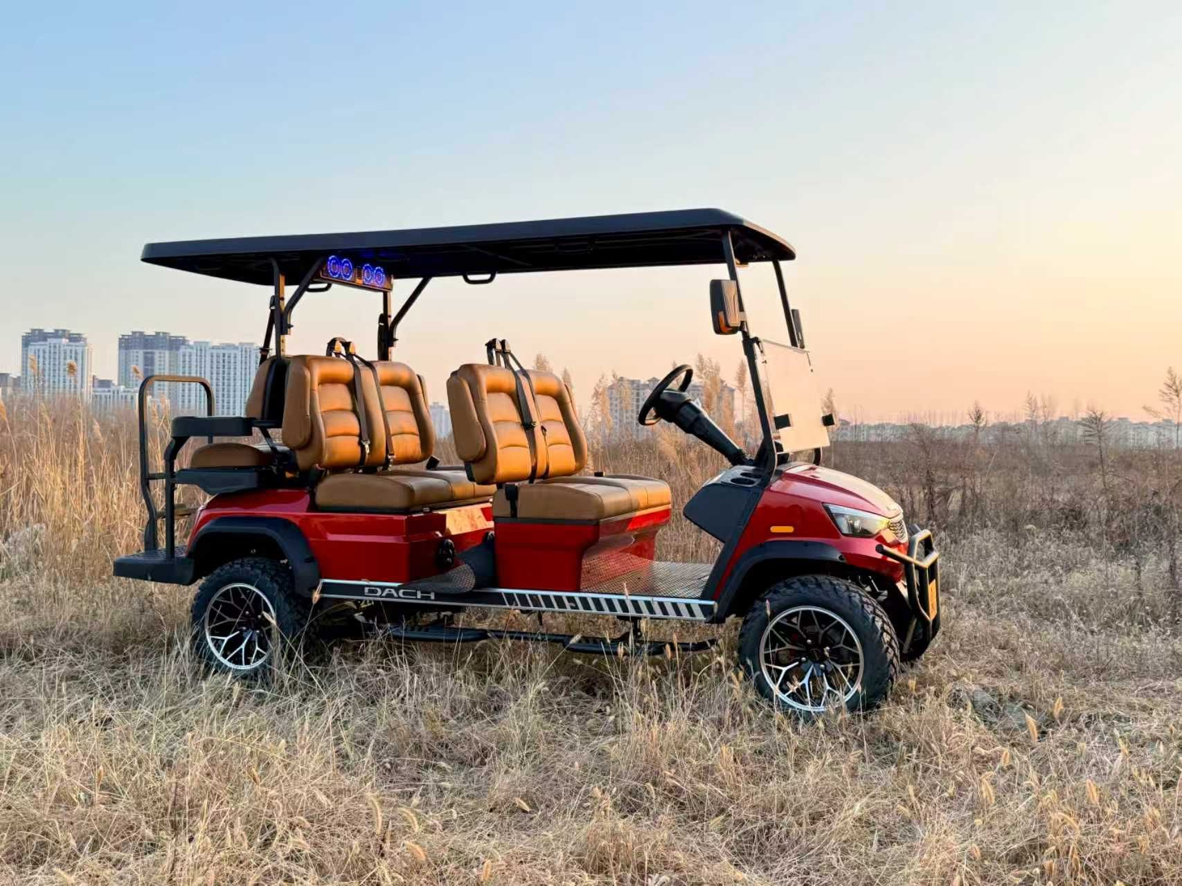 2026 DACH Vehicles Apollo 4+2 in Wesley Chapel, Florida - Photo 5