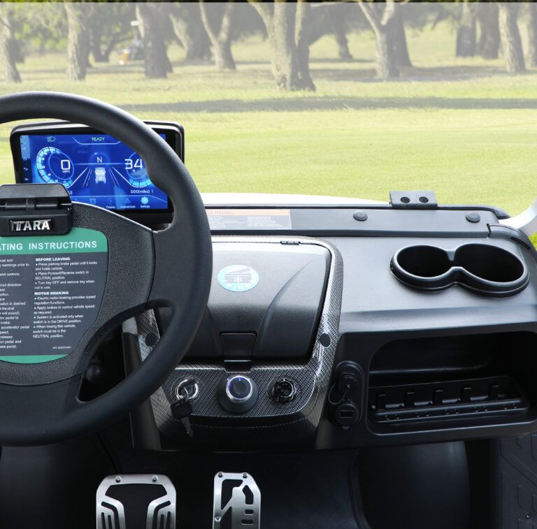 2025 Tara Electric Vehicles  Roadster 2 Plus in Wesley Chapel, Florida - Photo 12