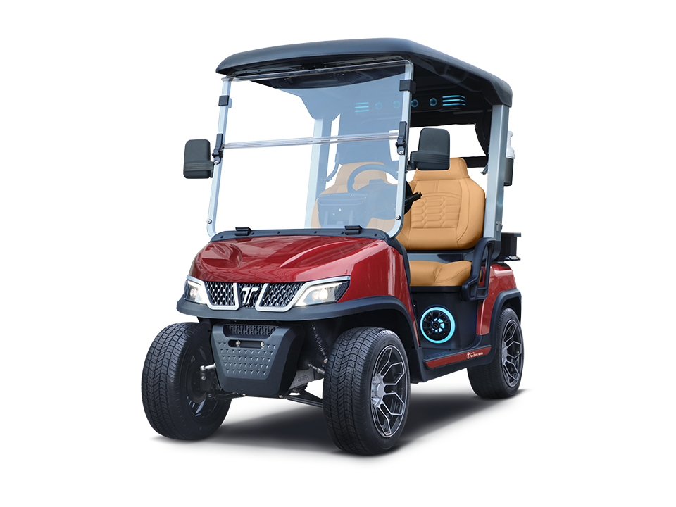 2025 Tara Electric Vehicles  Roadster 2 Plus in Wesley Chapel, Florida - Photo 3