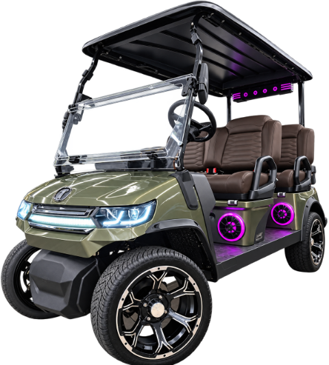 2026 Tara Electric Vehicles Summit Plus 4 Road in Wesley Chapel, Florida