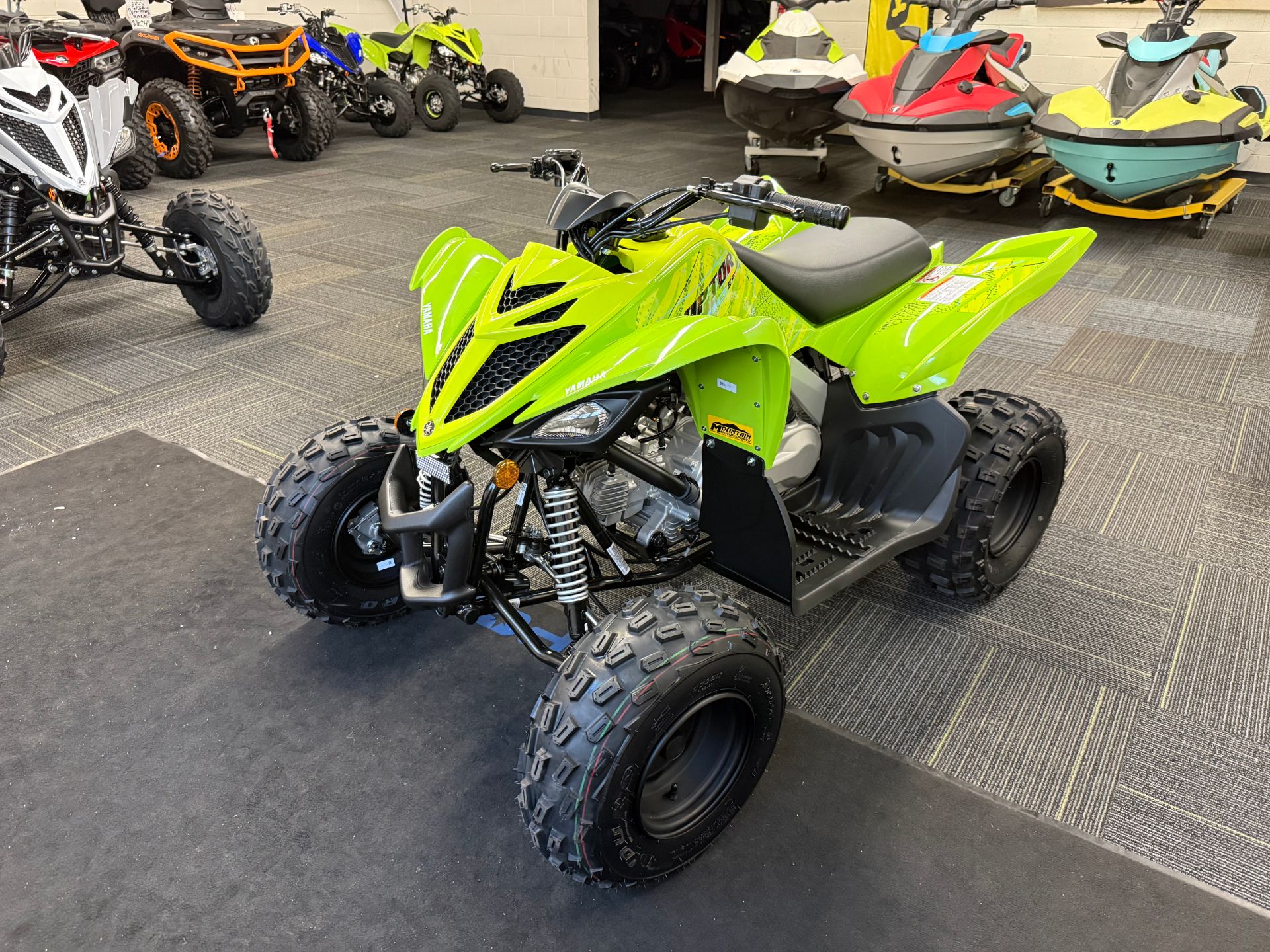 2026 Yamaha Raptor 110 7
