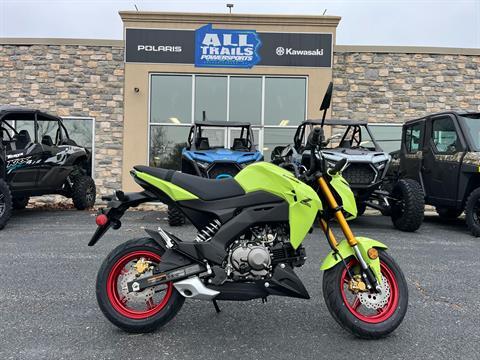 2026 Kawasaki Z125 Pro