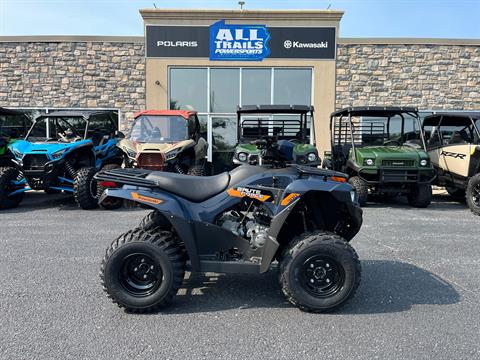 2026 Kawasaki Brute Force 300