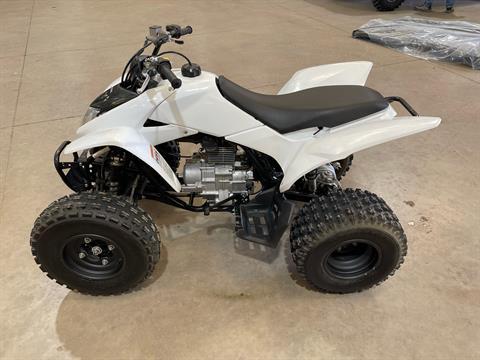 Used honda trx250x for sale near me hotsell