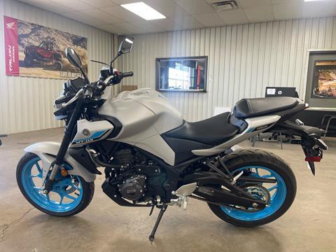 New 2025 Yamaha MT-03, Amarillo TX | Specs, Price, Photos | Ice