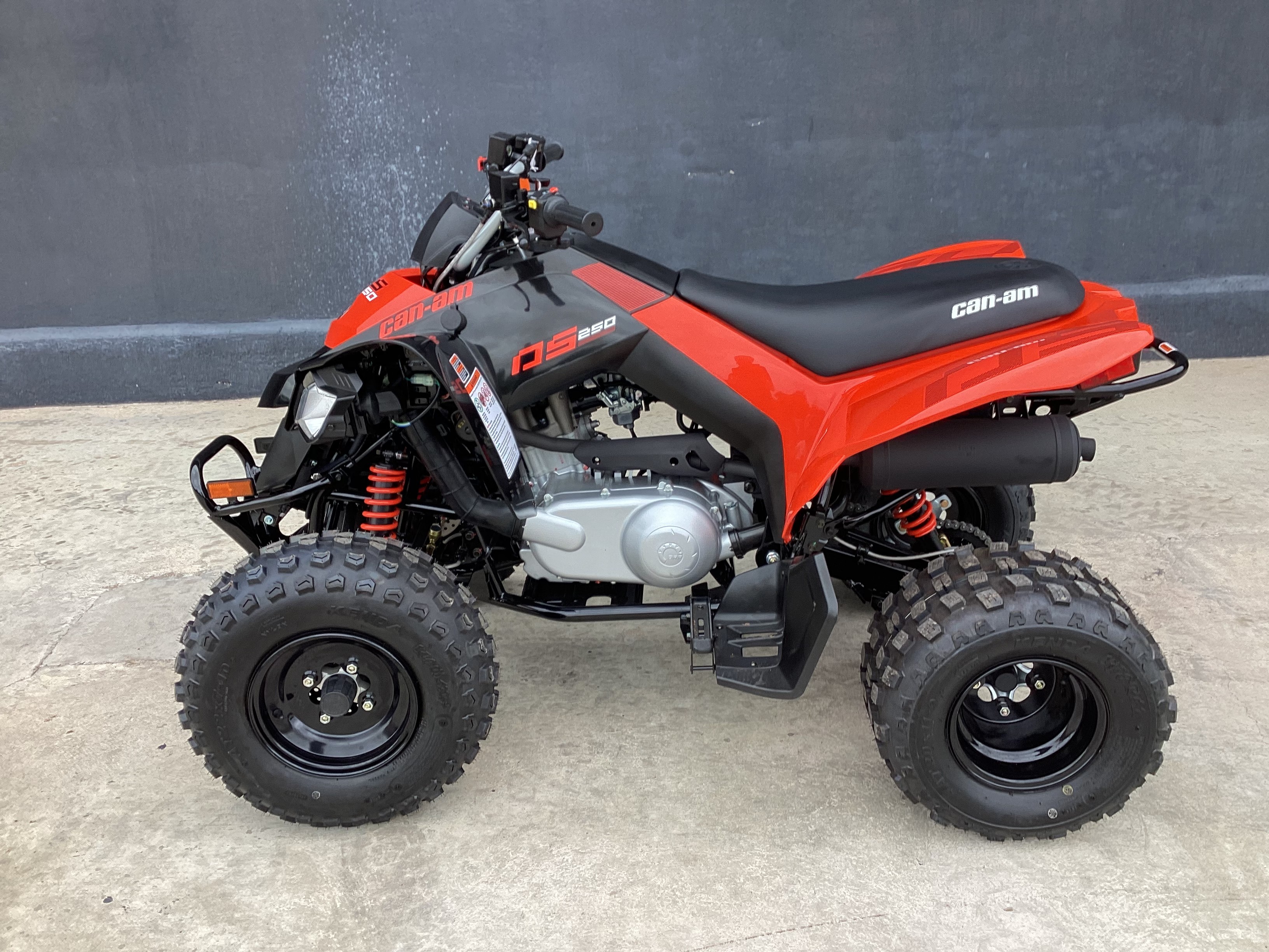 2026 Can-Am DS 250 for sale 1150111