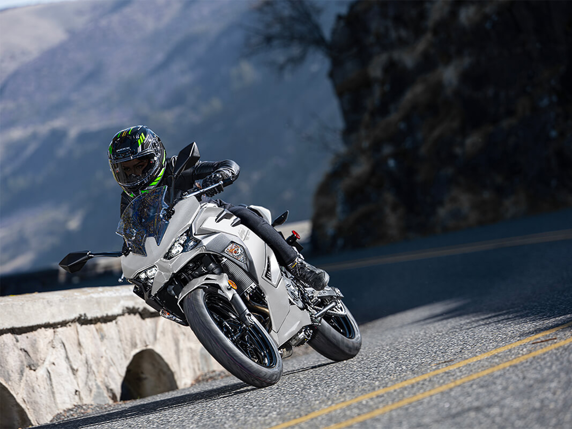 New 2025 Kawasaki Ninja 500 | Motorcycles in Laurel MD | Metallic