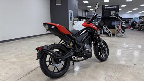 2025 CFMOTO 300NK in Ramsey, Minnesota - Photo 3