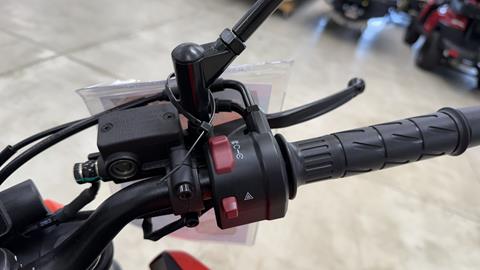 2025 CFMOTO 300NK in Ramsey, Minnesota - Photo 12