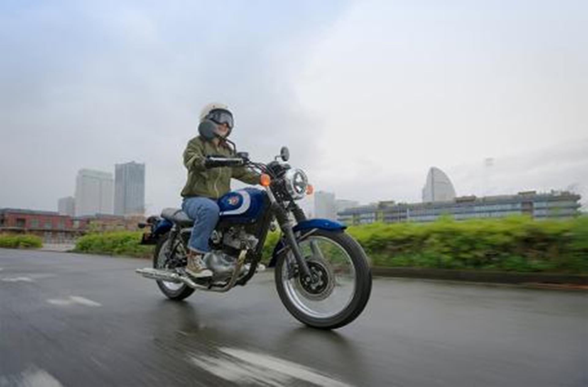 2025 Kawasaki W230 ABS in Bonita Springs, Florida - Photo 7