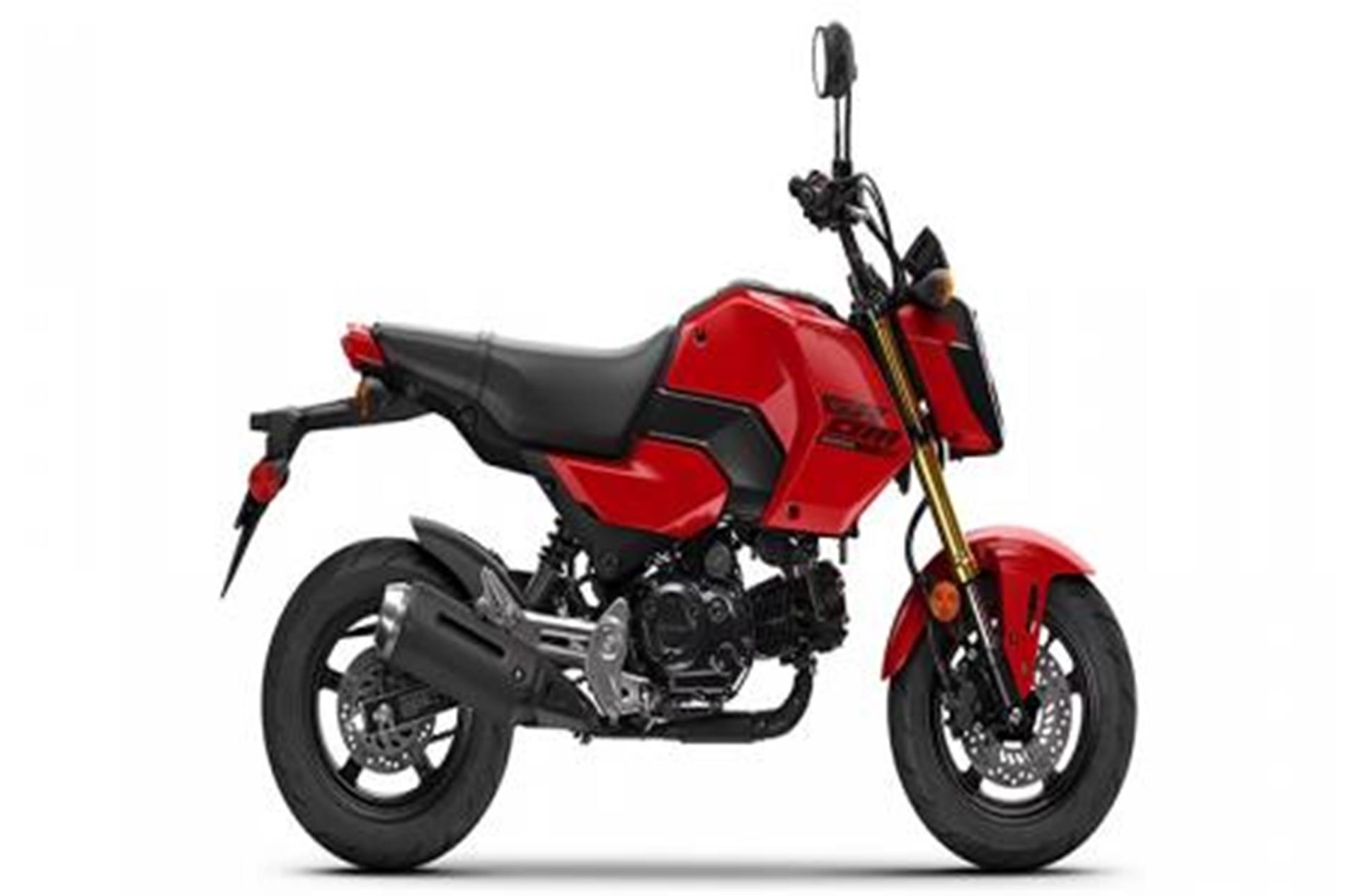 2025 Honda Grom in Bonita Springs, Florida - Photo 1