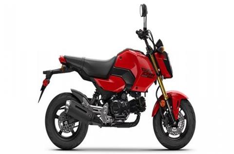 2025 Honda Grom in Bonita Springs, Florida - Photo 1