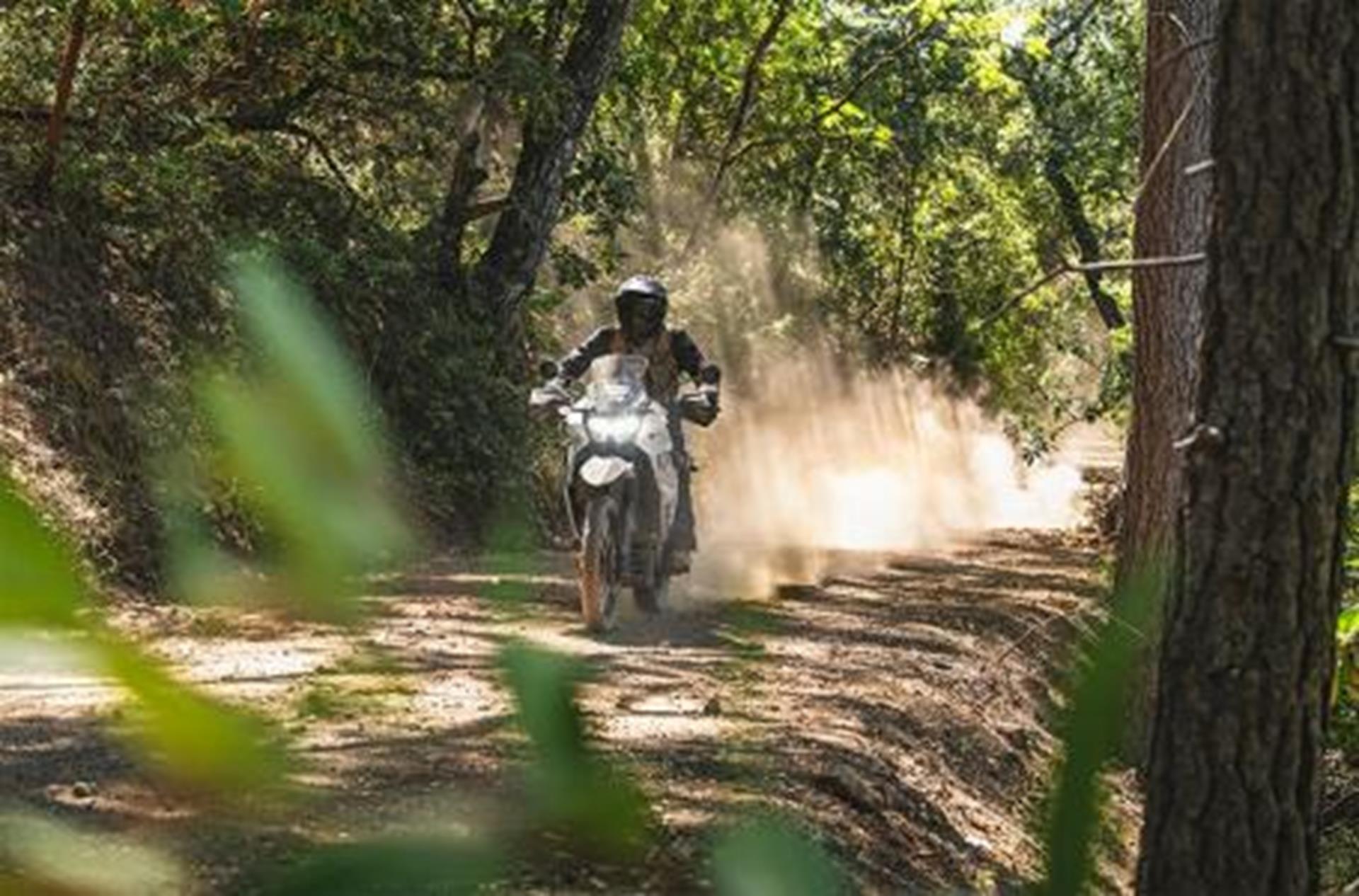 2025 Kawasaki KLR 650 ABS in Bonita Springs, Florida - Photo 5