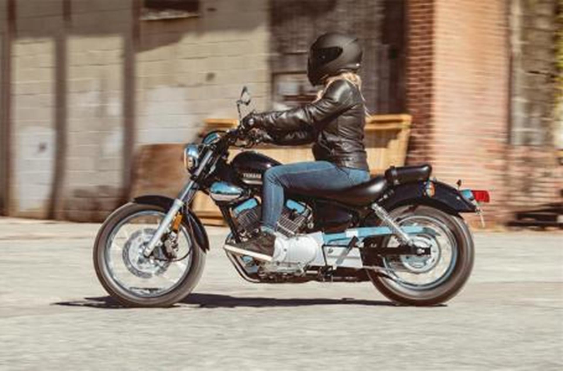 2025 Yamaha V Star 250 in Bonita Springs, Florida - Photo 3