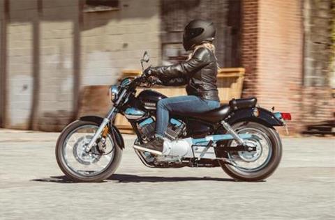 2025 Yamaha V Star 250 in Bonita Springs, Florida - Photo 3