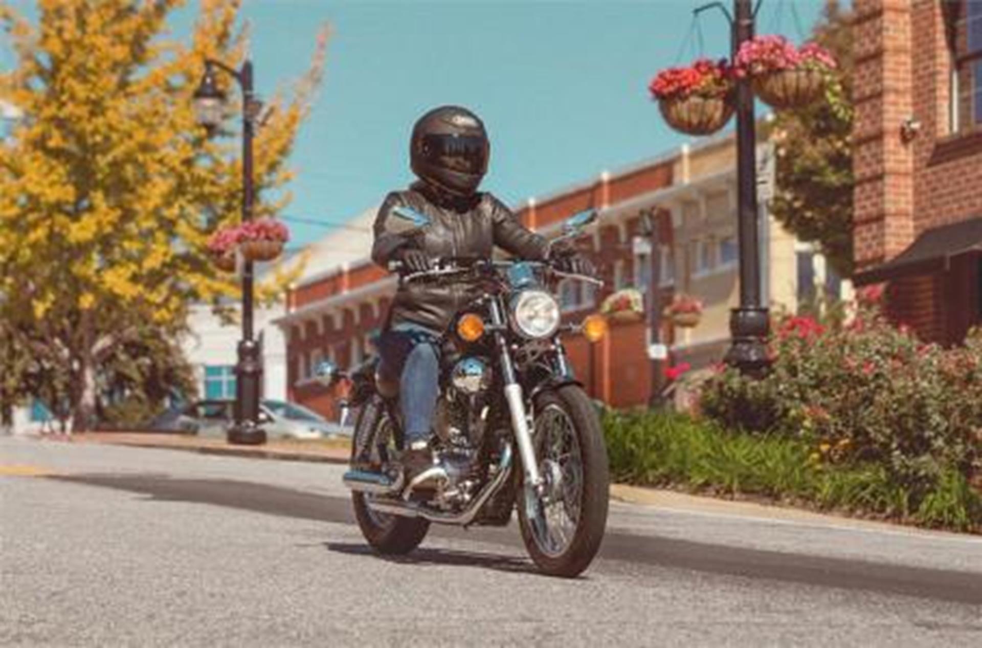 2025 Yamaha V Star 250 in Bonita Springs, Florida - Photo 4