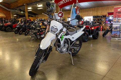2026 Kawasaki KLX 300 in Sauk Rapids, Minnesota - Photo 2