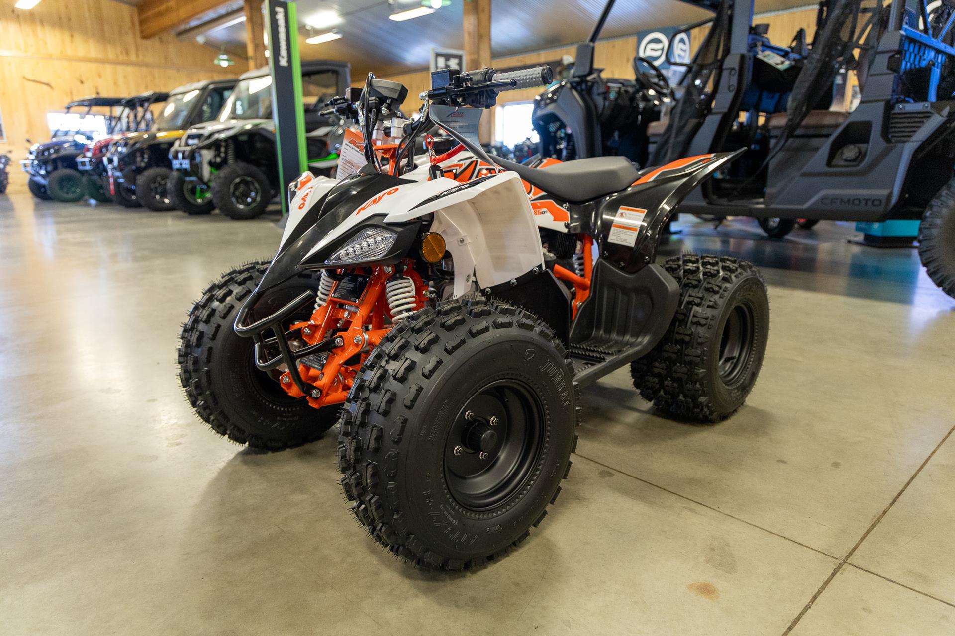 2025 Kayo Predator 125 EFI in Sauk Rapids, Minnesota - Photo 3