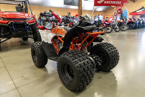 2025 Kayo Predator 125 EFI in Sauk Rapids, Minnesota - Photo 5