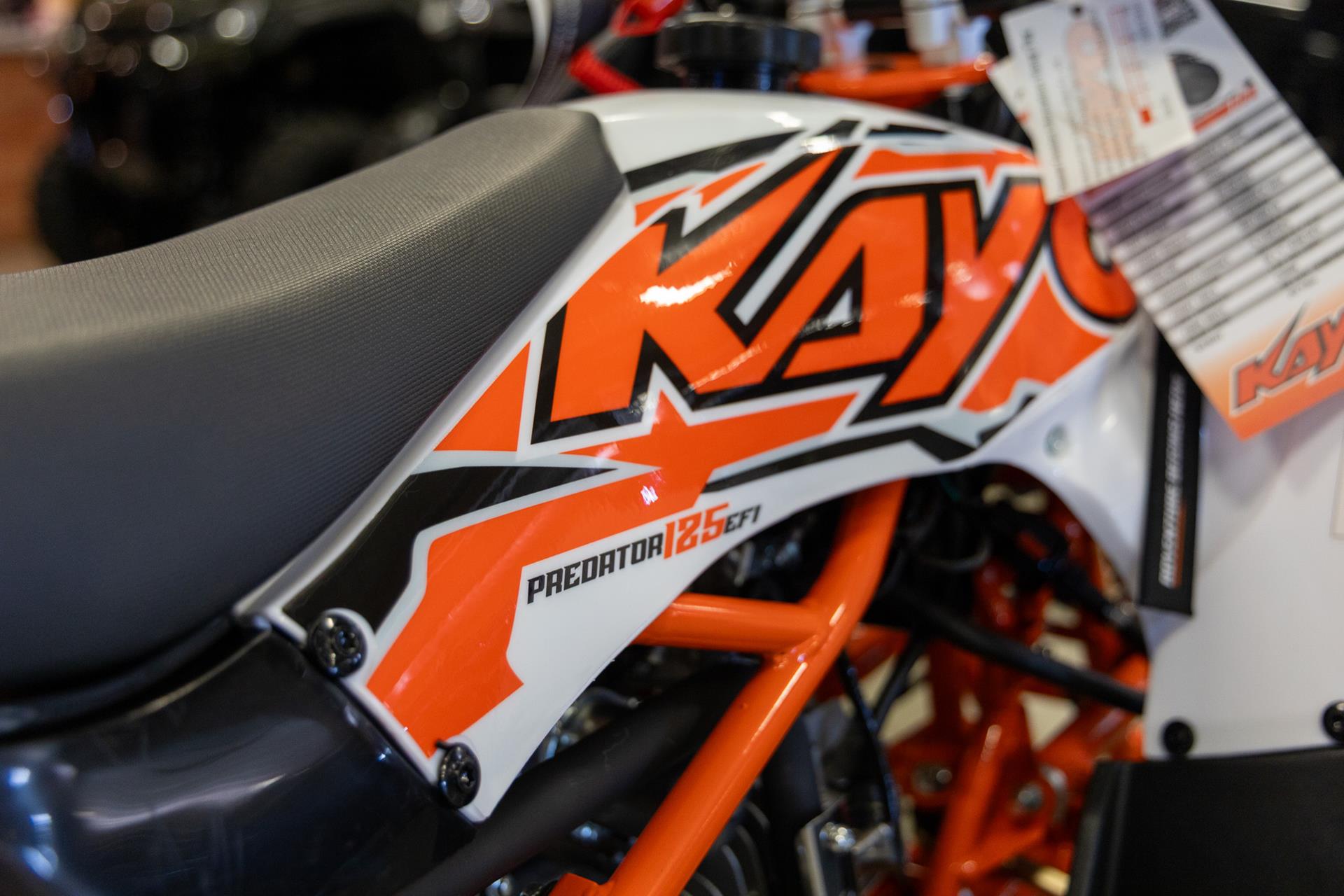 2025 Kayo Predator 125 EFI in Sauk Rapids, Minnesota - Photo 7