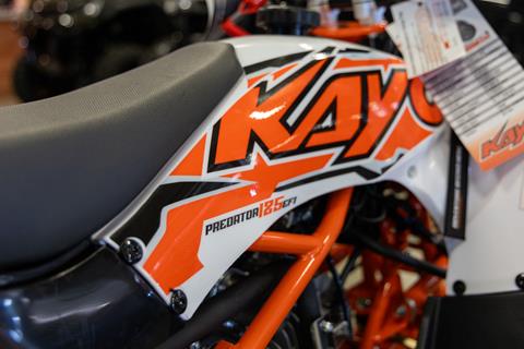 2025 Kayo Predator 125 EFI in Sauk Rapids, Minnesota - Photo 7