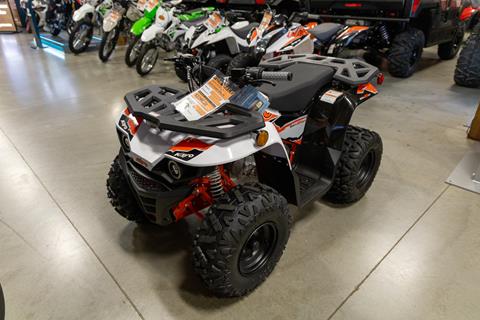 2025 Kayo Bull 125 EFI in Sauk Rapids, Minnesota - Photo 2