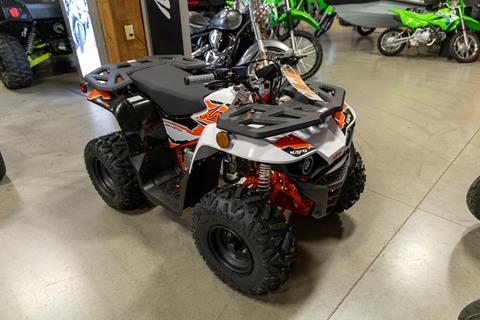 2025 Kayo Bull 125 EFI in Sauk Rapids, Minnesota - Photo 3