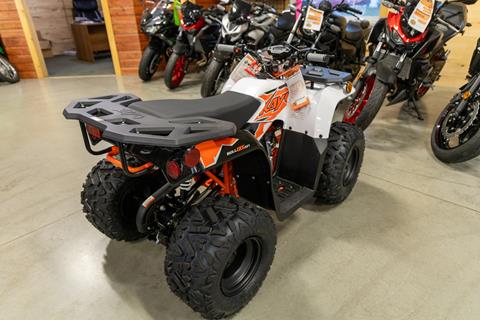 2025 Kayo Bull 125 EFI in Sauk Rapids, Minnesota - Photo 5