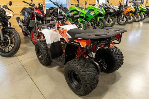 2025 Kayo Bull 125 EFI in Sauk Rapids, Minnesota - Photo 7