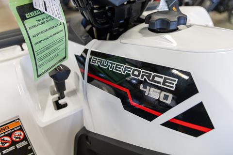 2025 Kawasaki Brute Force 450 4x4 in Sauk Rapids, Minnesota - Photo 9
