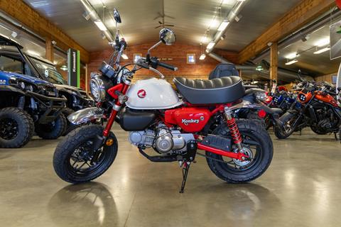 2025 Honda Monkey ABS in Sauk Rapids, Minnesota - Photo 1