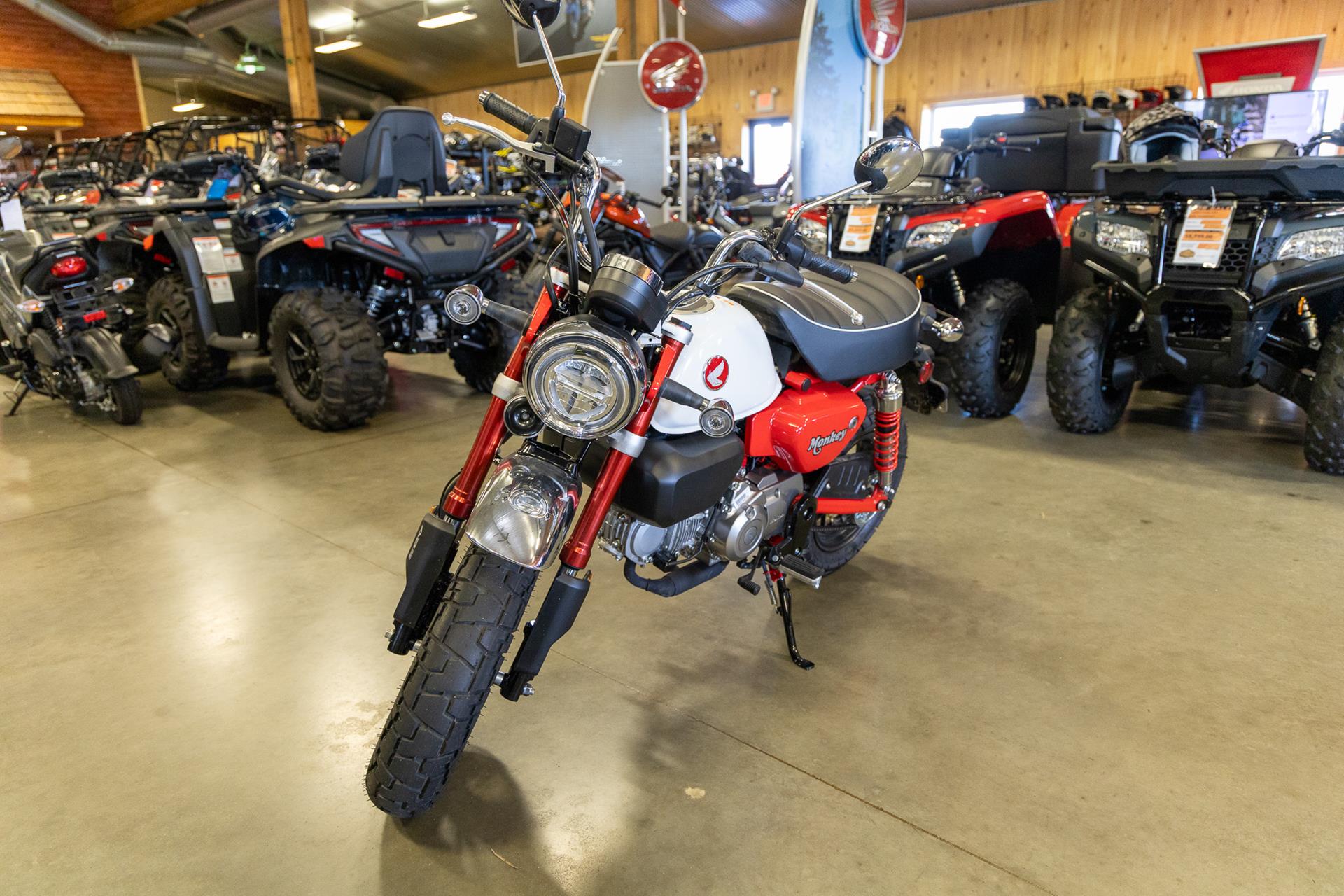 2025 Honda Monkey ABS in Sauk Rapids, Minnesota - Photo 2