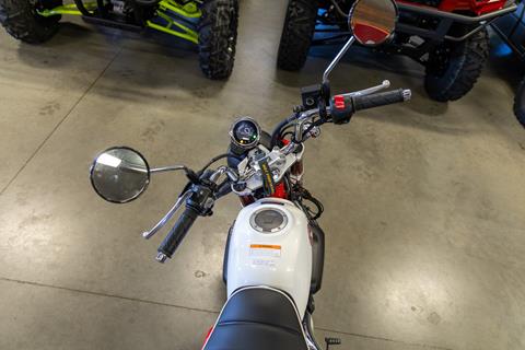 2025 Honda Monkey ABS in Sauk Rapids, Minnesota - Photo 8