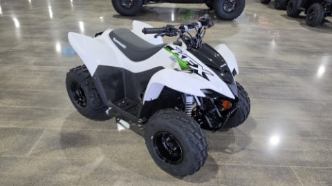 ATVs For Sale in Sauk Rapids, MN