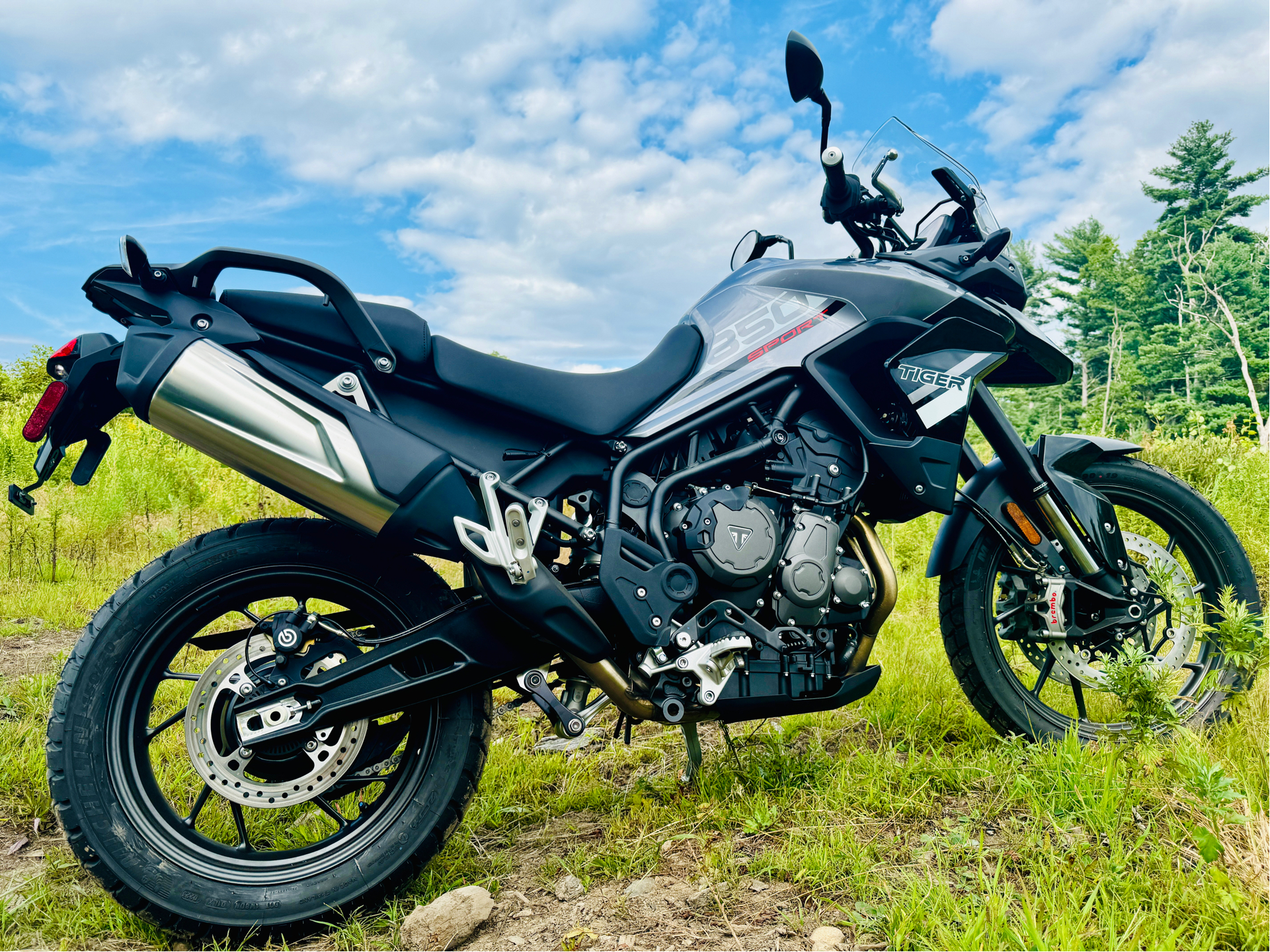 2024 Triumph Tiger 850 Sport in Enfield, Connecticut - Photo 1
